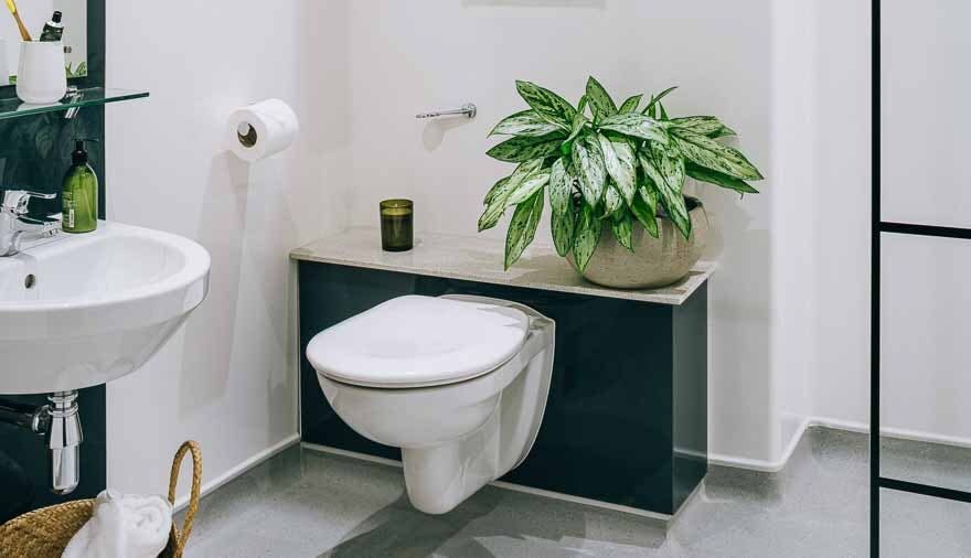 Basin Toilet 002 880x506px